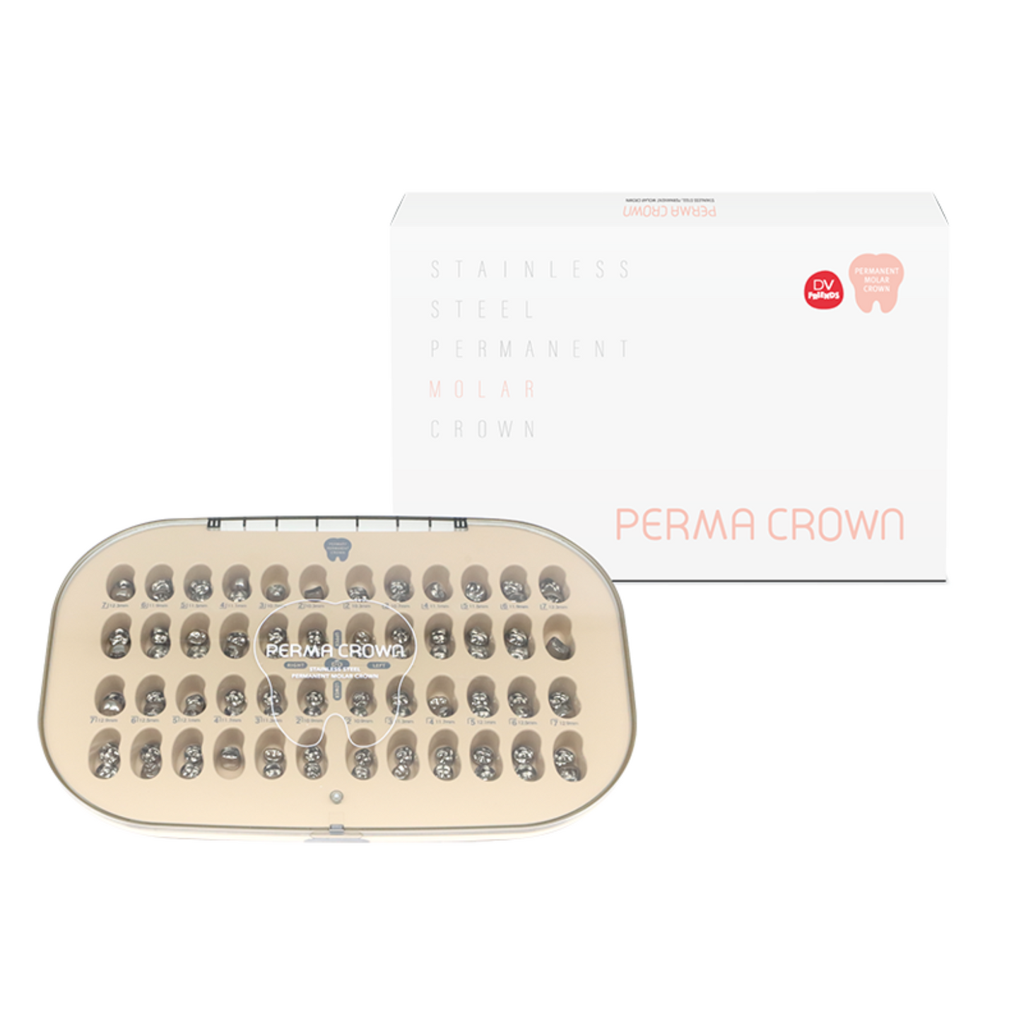 PERMA Kronen RVS, Intro-kit (24 stuks), Permanente Molaren