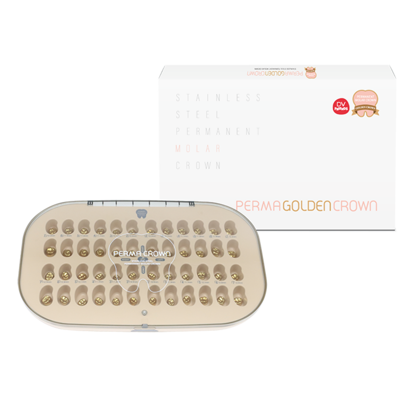 PERMA Crowns Gold, Intro-kit (24 pieces), Permanent Molars