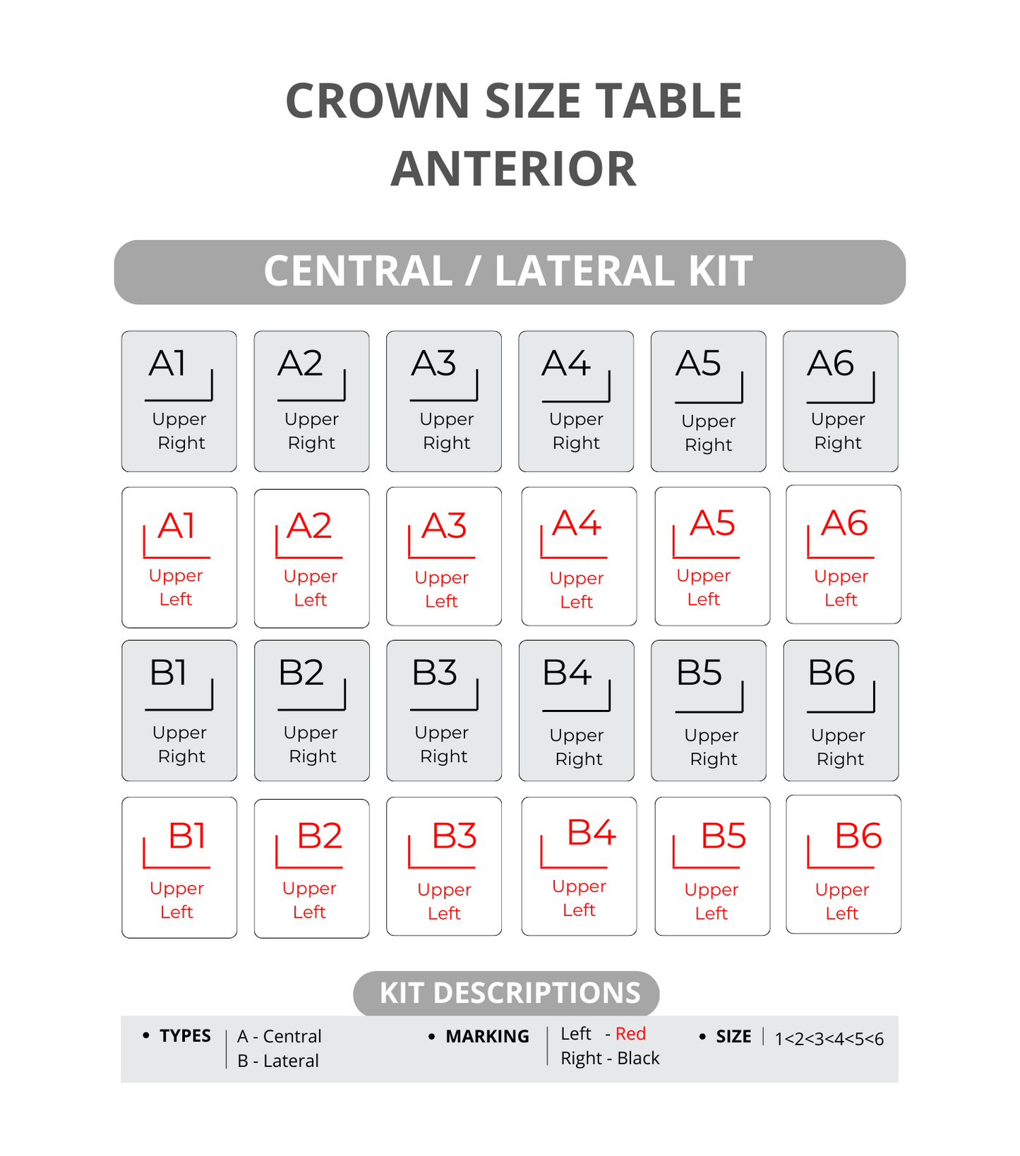 Zirconia intro kit 