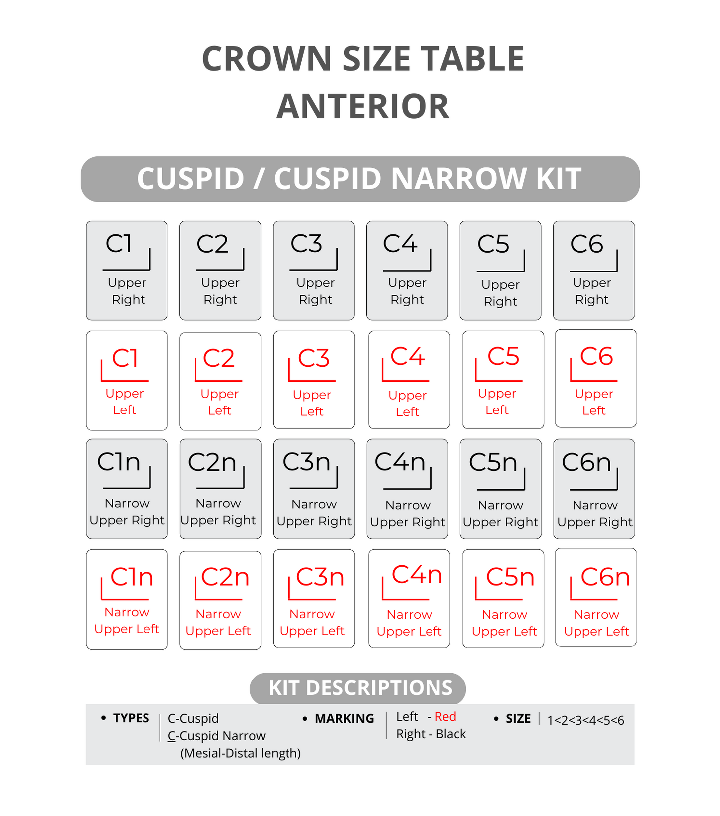 Zirconia intro kit 