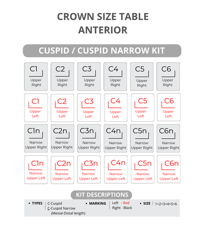 Zirconia, Children's Crown, TRY-INN, CUSPID-NARROW, Refill, 2 pieces per box